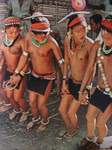Tribal - Celebration-73bm7w5pil.jpg